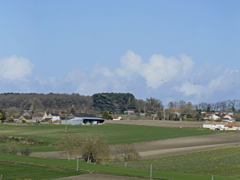 Panorama