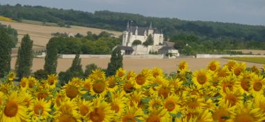 Transports scolaires Grand Châtellerault 2023-2024