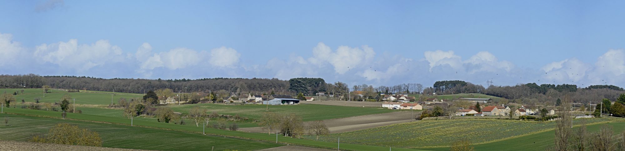 Panorama